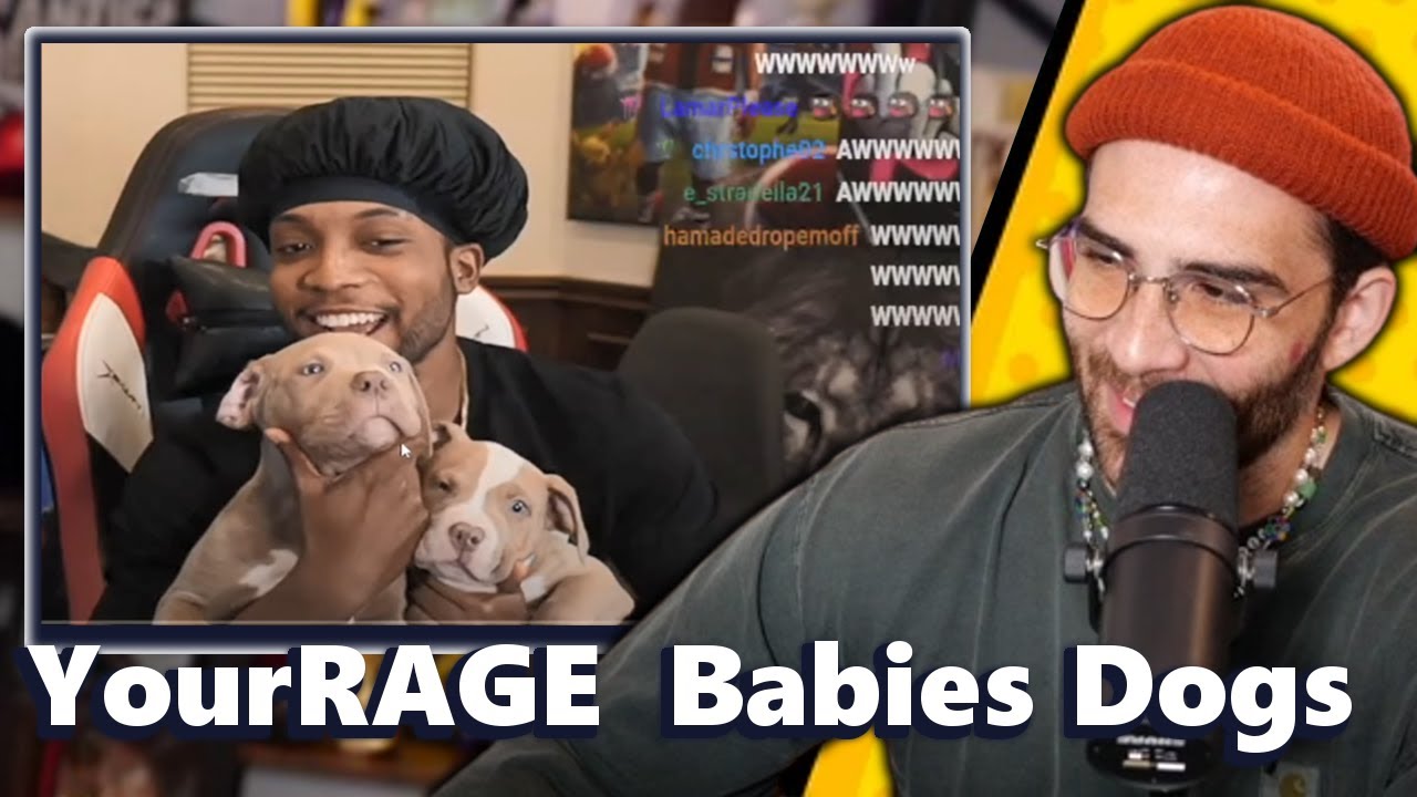 Hasanabi Reacts To YourRAGE Babies Dogs YouTube hasanabi-reacts-to-yourrage-babies-dogs-youtube