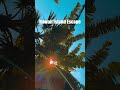 Visiting Hawaii 2026 — What Paradise Looks Like in 45 Seconds