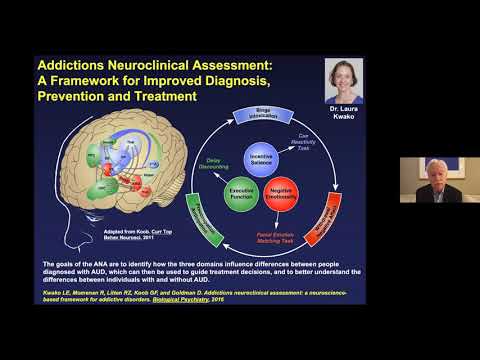 Neural Circuitry of Addiction and the Dark Side of Addiction