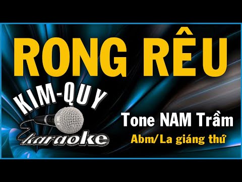 RONG RÊU - KARAOKE - Tone NAM Trầm ( La giáng thứ )