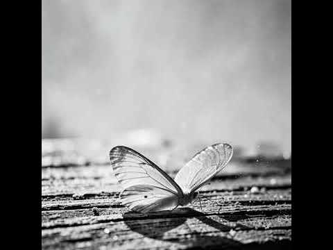 Fallen Seraph - Glasswing