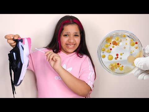     شفا اختبرت البكتيريا في اشياء في البيت