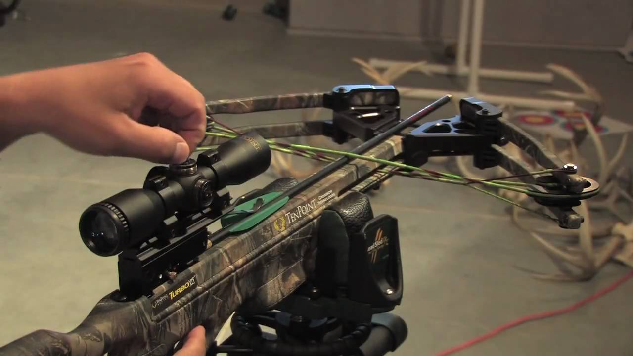 How To Bore Sight A Crossbow