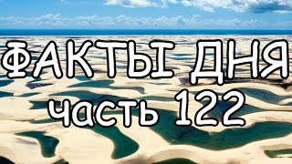 ФАКТЫ ДНЯ. Интересная информация для Вашего ума (Часть 122)