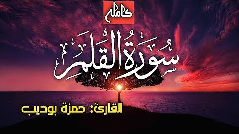 سورة القلم كاملة تلاوة هادئة ستأخدك لعالم آخر 😴😴 القارئ حمزة بوديب Surah Al Qalam