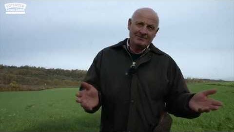 Cotswold Seeds First Hand: Ryegrass & Clover Leys with Lester Lavington