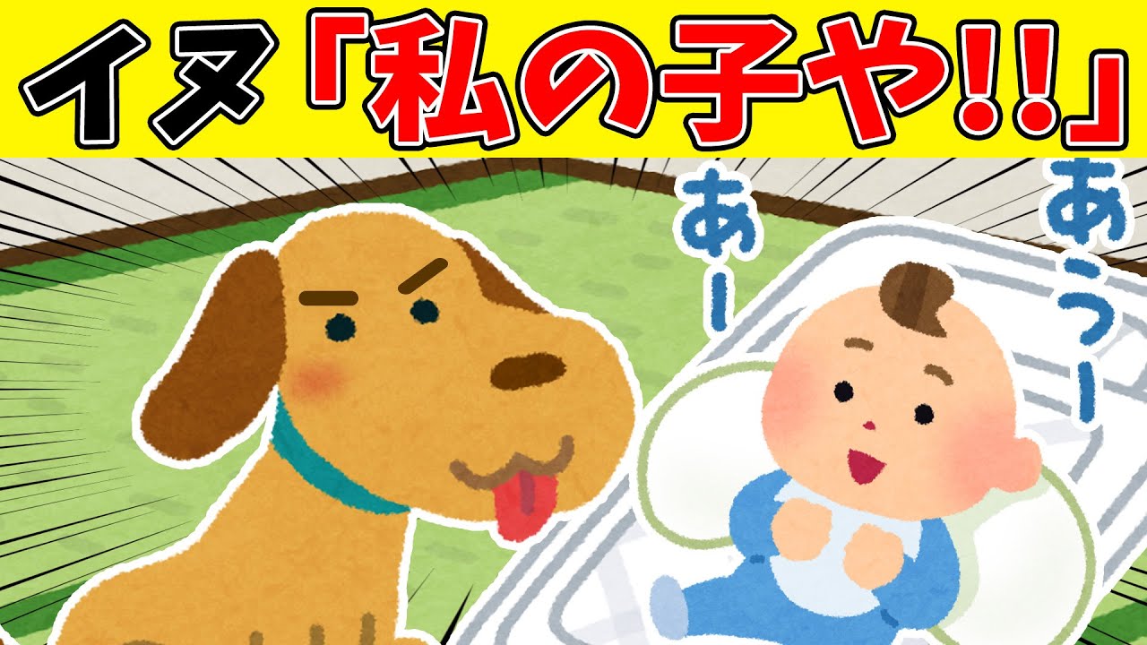 【感動】眠れない夜に聞きたい話10選！0歳児を自分の子供だと思い込む母犬【ゆっくり】