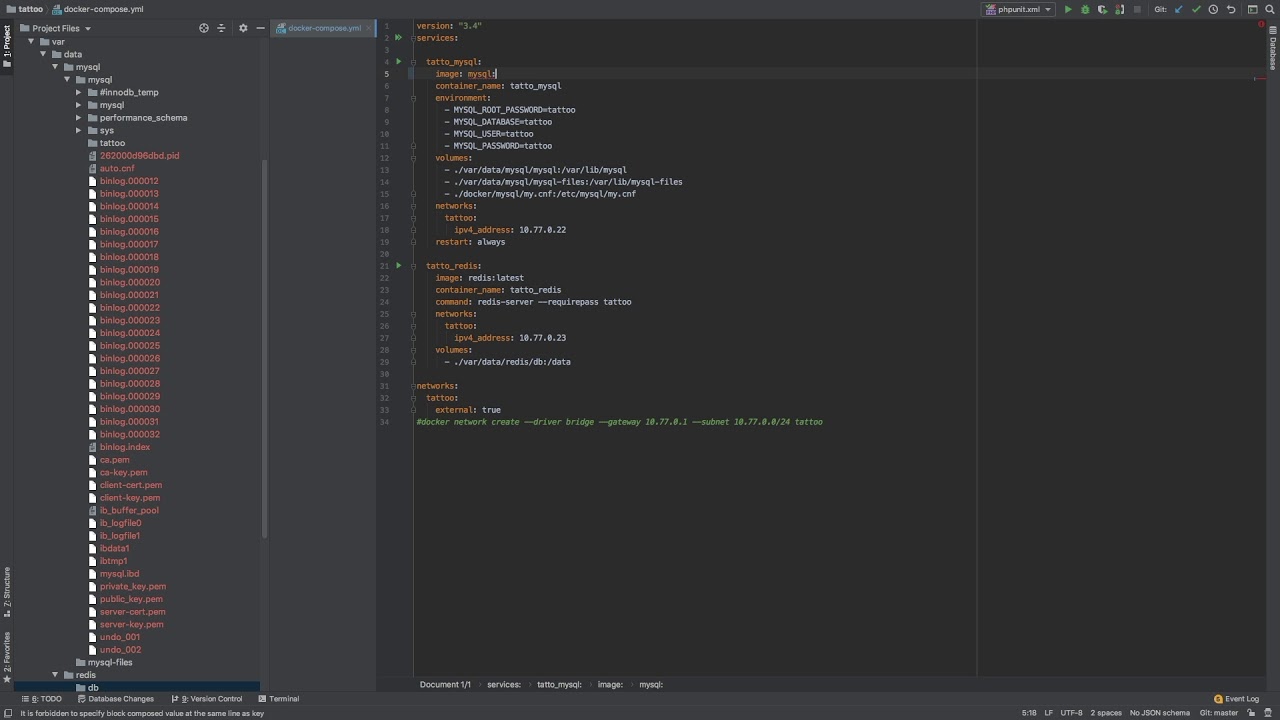 Docker mount file