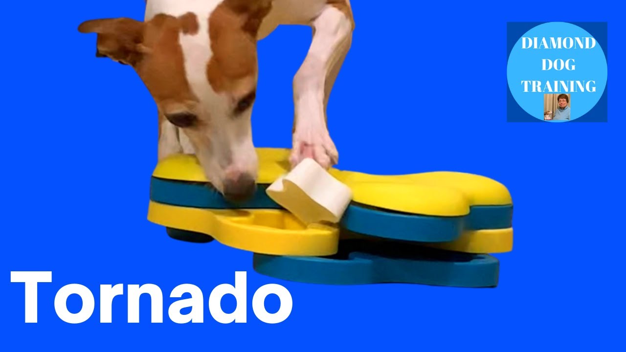 Best Dog Puzzle Toys Nina Ottosson Tornado And Dog Brick 