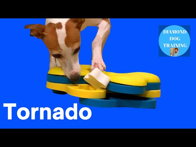 Dog Tornado Treat Dispensing Dog Toy - Nina Ottosson Dog Tornado Puzzl