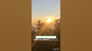أجمل تلاوة تسمعها لشيخ#محمد_صديق_المنشاوي#القرآن_الكريم#SiddiqAlMinshawi #اكسبلور