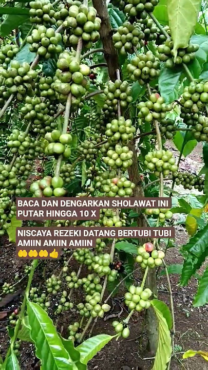 LISTEN TO THIS PRAYER, PROSPERITY WILL COME IN A LOT #sholawat #prayer #motivation #shortvideo #fyp