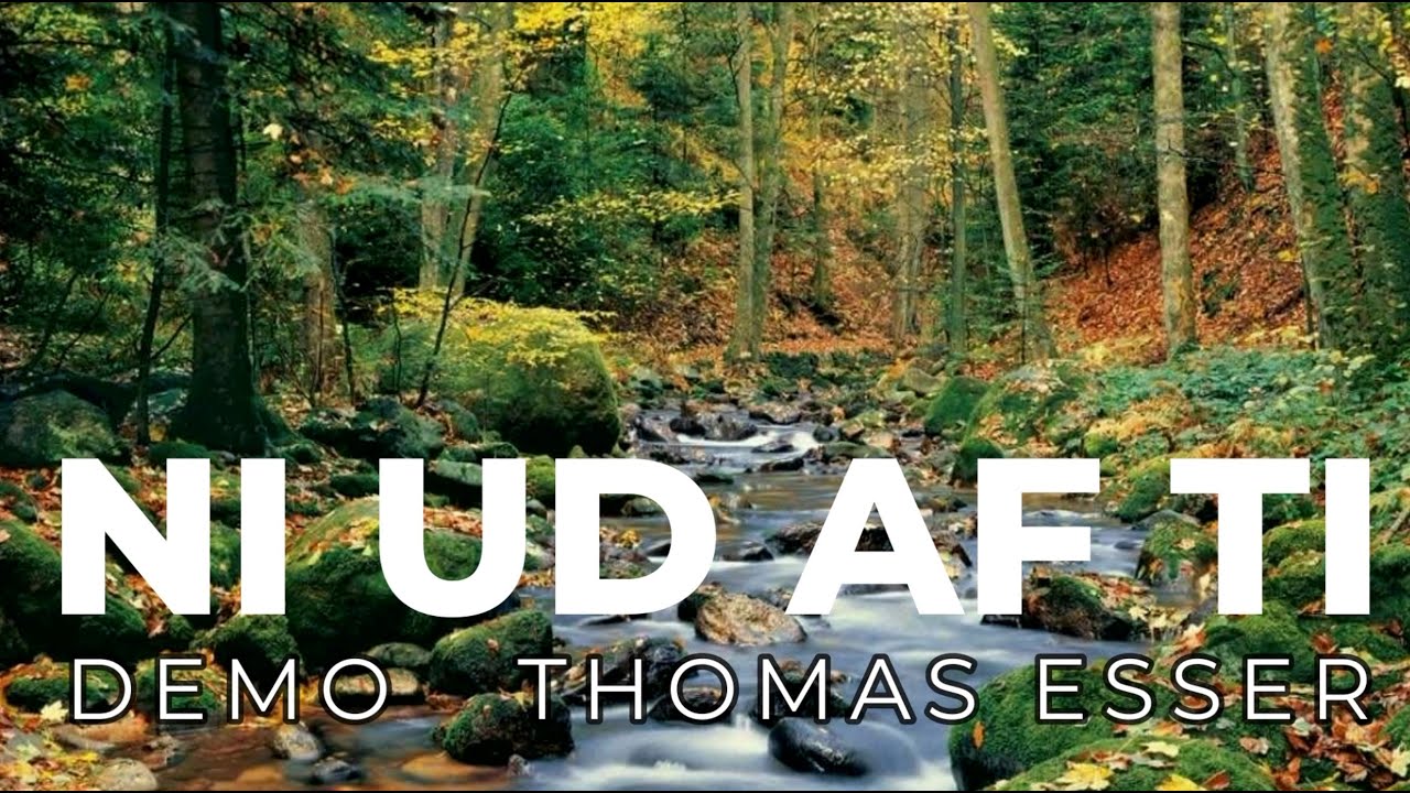 Demo Thomas Esser  NI UD AF TI