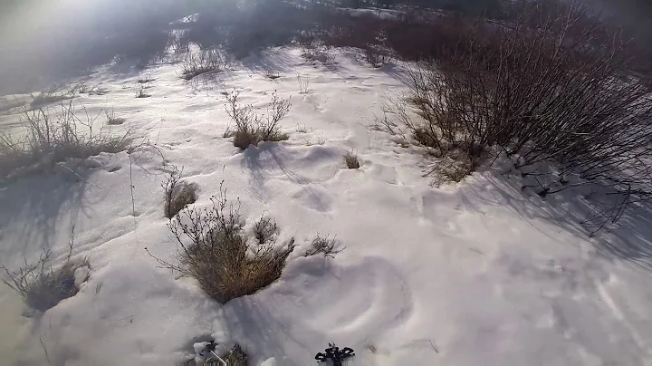 Snowshoeing in the Poudre Canyon CO