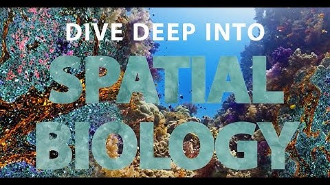 RNAsky™ – same-section spatial multiomics on the MACSima™ Platform