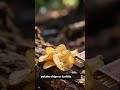 Did you know your Salty snacks could save your camping trip