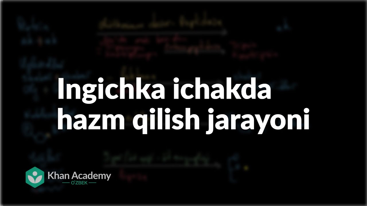 Ingichka ichakda hazm qilish jarayoni | Ovqat hazm qilish tizimi | Tibbiyot