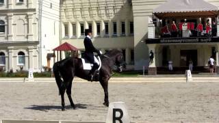 Чемпионат Украины по выездке - 2011.avi