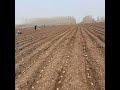 Growing green: finding balance in China's fields