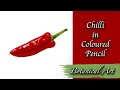 Drawing a chilli in coloured pencil on drafting film  botanical art