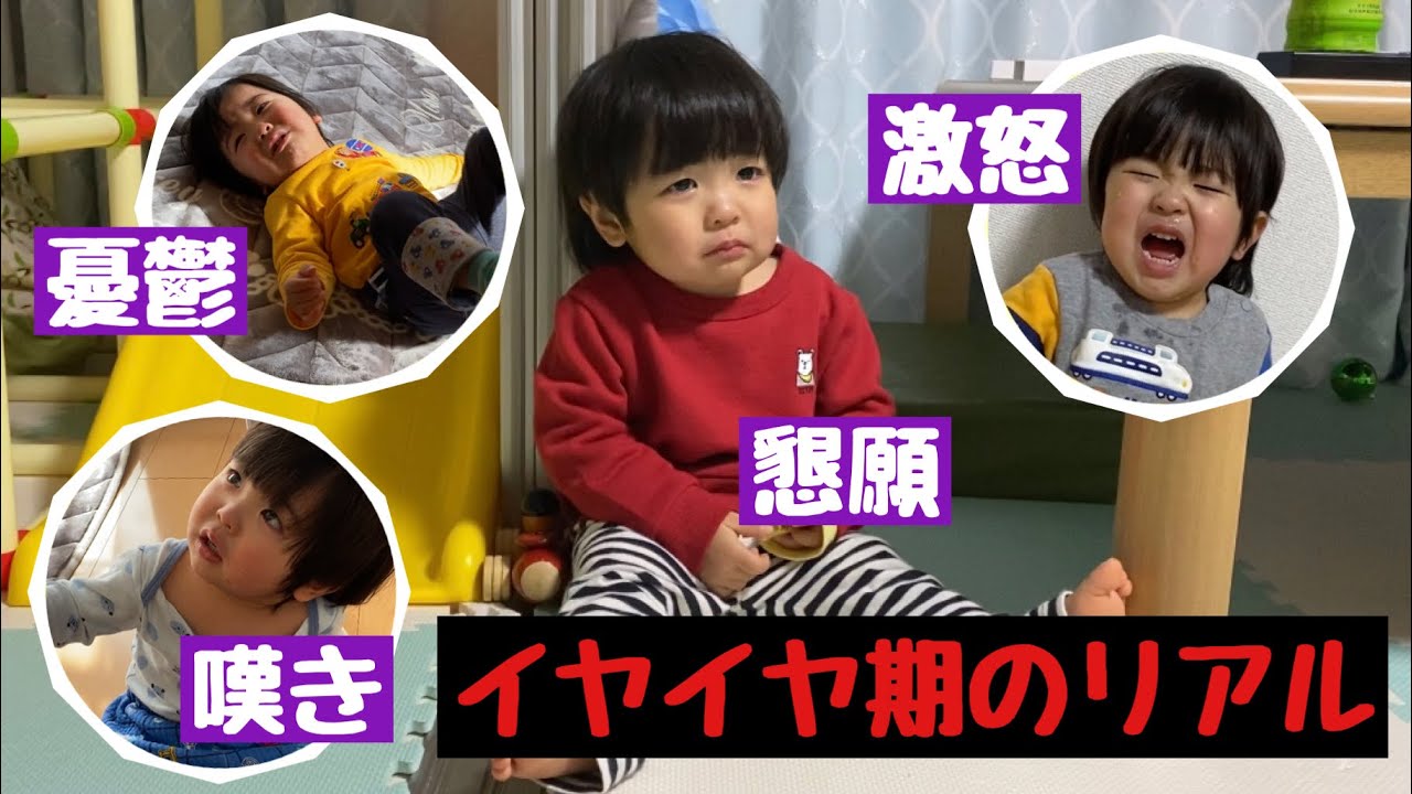 【 450秒 耐久】2歳イヤイヤ期の全貌を大公開！かなめ様ぷりぷりご立腹のご様子ʕ•̫͡•ʕ