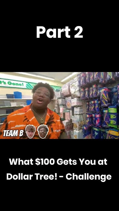 What 100 Gets You At Dollar Tree Pt 2 shorts zykonic YouTube what-100-gets-you-at-dollar-tree-pt-2-shorts-zykonic-youtube