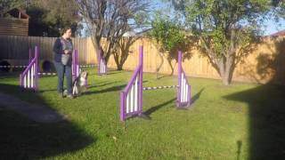 Lesson 4 focus forward and GO