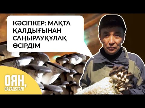 Бейне: Саңырауқұлақтарды қалай алуға болады?