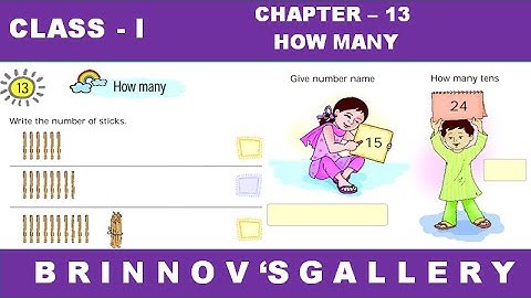 Class 1 | Maths | Chapter 13 |  How many | class 1 maths | NCERT | Class 1 chapter 13