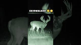 Skinwalker Disguised As Animals Animals