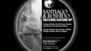 Santiago & Bushido - Can't Be Wrong (Johnny Fiasco Remix) Resimi