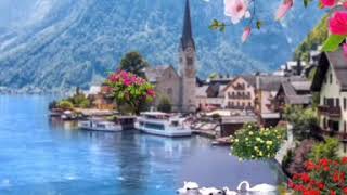 Gif art Austria spring flower swan lake