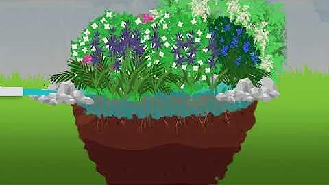Manage your Rainwater