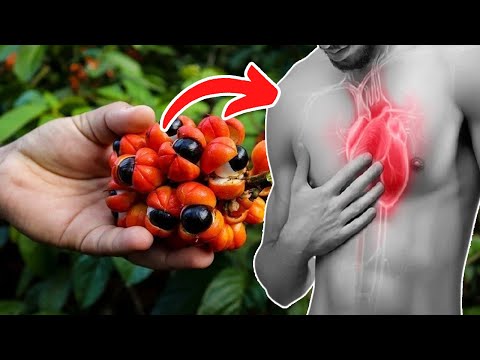 Top 8 Surprising Guarana Benefits | Health Benefits of Guarana