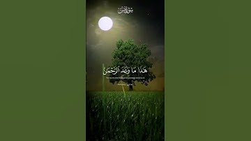 تلاوة خاشعة للشيخ ياسر الدوسري ❤️ #تلاوة_خاشعة #قرآن #المغرب #ياسر_الدوسري #قران_كريم #مصر #السعودية