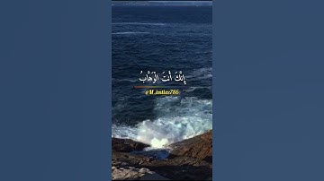 اجمل تلاوة صباحية في الصباح الباكر 💚🌷صباح الخير والبركة 💛🌷Good morning ❤🌷
