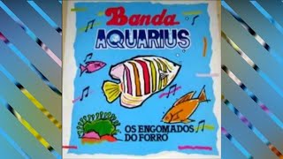BANDA AQUÁRIUS - Beleza tropical (com letra)
