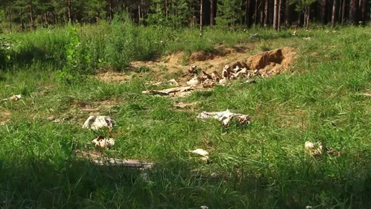 Скотомогильник телеграм канал