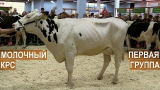 ПОКАЗ МОЛОЧНОГО КРС ГОЛШТИНСКОЙ И ЧЕРНО-ПЕСТРОЙ ПОРОДЫ. Выставка Золотая Осень-2018 ПОКАЗ МОЛОЧНОГО КРС ГОЛШТИНСКОЙ И ЧЕРНО-ПЕСТРОЙ ПОРОДЫ. Выставка Золотая Осень-2018