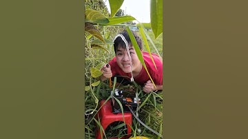 Máy Bơm Nước Mini | Nhà Phát Minh Thiện Ngô #youtubeshorts