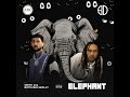 SMITTI D - ELEPHANT ft. Bothasig Skolly (Roiii - La Vida Loca reimagined)