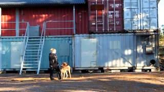 Condan Luonnetesti 9.10.2011 - Kelkkatesti