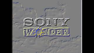 Sony Wonder Logo In Silver Major