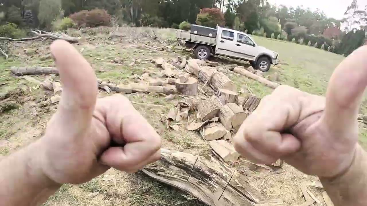 Big Gum Tree  Absolutely Burko Pt 3 of 3: cleanup drag branches, cut them up