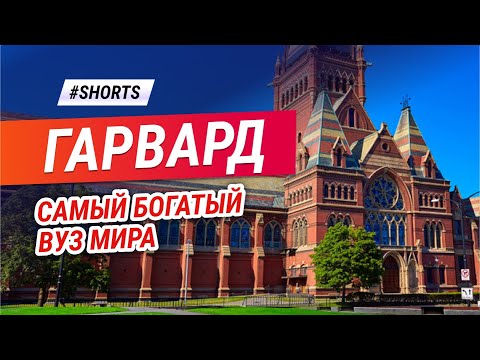 Самый БОГАТЫЙ ВУЗ мира. #Shorts