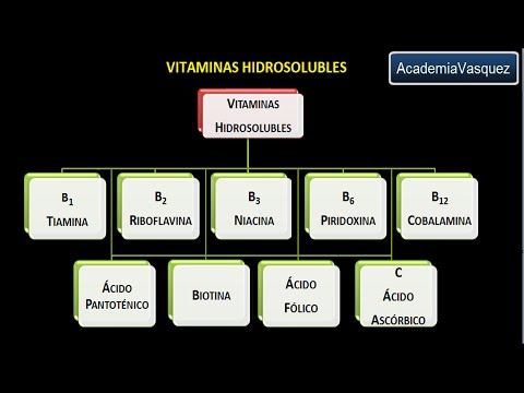 Vitaminas hidrosolubles: Vitamina B2 o Riboflavina