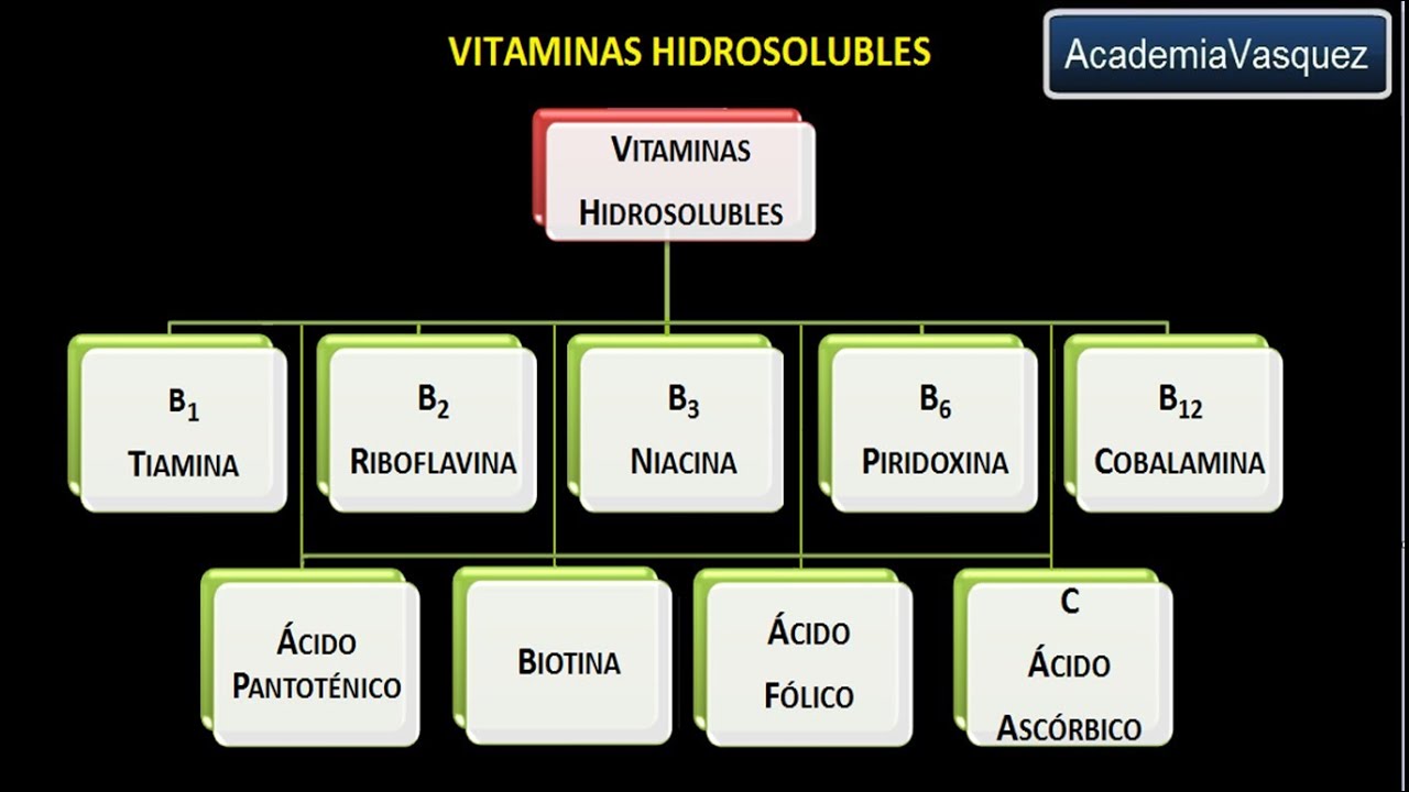 Vitaminas hidrosolubles: Vitamina B2 o Riboflavina - YouTube