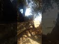 هاد خونا خطار كيديماري الموطر دصولدا ب Ci90هههههههه 