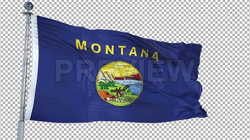Montana Flag Animation Stock Motion Graphics