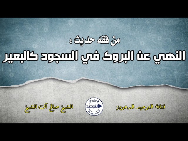 من فقه حديث : النهي عن البروك في السجود كالبعير | الشيخ صالح آل الشيخ